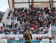 STAUT ESTOY AQUI LaBaule2013- S5 6489 : 2013, ESTOY AQUI, La Baule, STAUT KEVIN, foto di Stefano Secchi ©